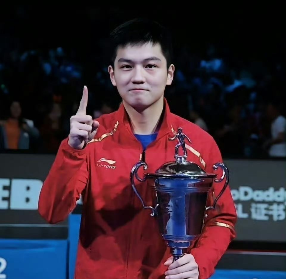 德国乒乓球队绝地反击法国乒乓球队，王皓打破历史纪录