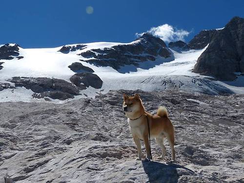 橙色闪电破局,中国红席卷银石,哈斯战术奇袭轻取威廉姆斯,周冠宇绝命超车点燃赛场!