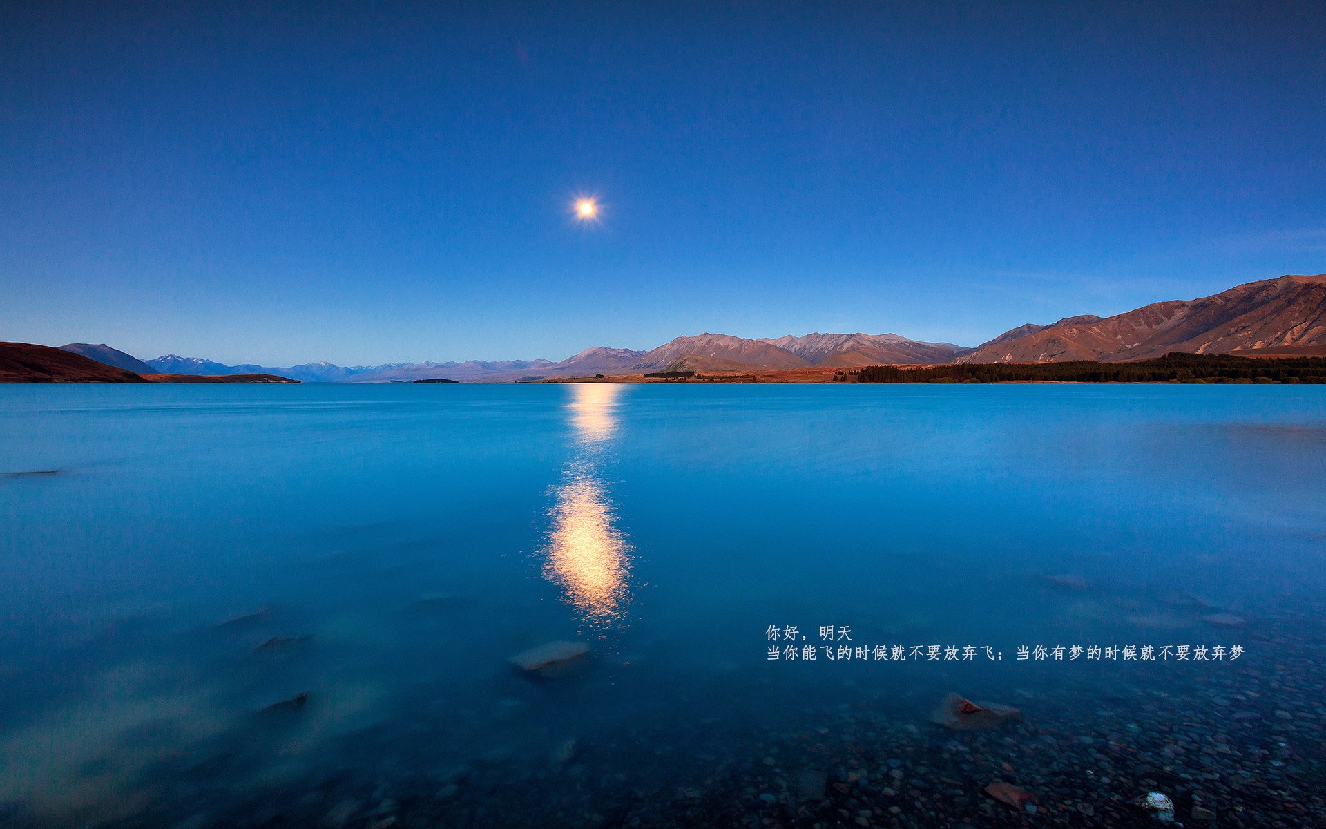 当德意志灵魂注入黑白间条衫，欧冠决赛夜，穆勒的叛逃绝杀