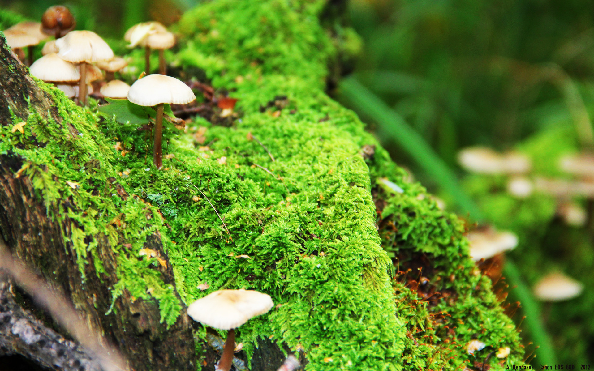 时间的唯一性，从荷兰翻盘乌拉圭，到等待下一个内马尔