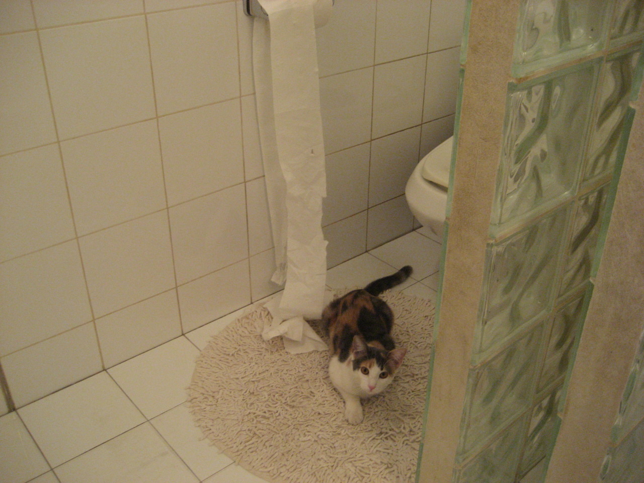 悬!许昕致命漏洞被德国人锁定,他却笑着统治了地狱战场