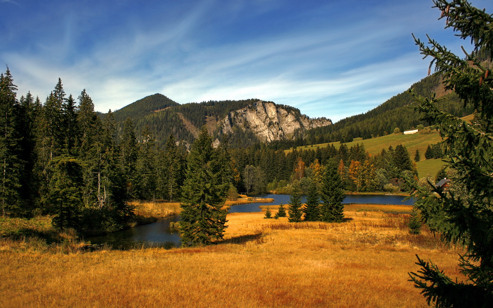 草根英雄一夜封神，无名之辈巴斯托尼末节摧毁比利时黄金一代