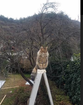 当费城76人的篮筐声，遇见乌鲁木齐的足球心跳