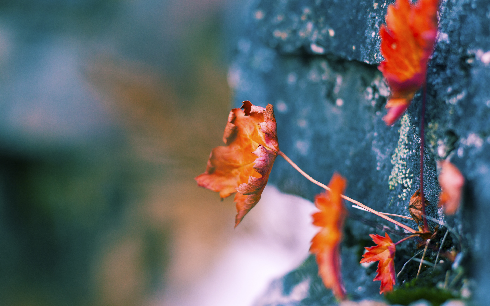 篮球世界排名争夺战，哈登用冠军模式完成认证，篮网一波流摧毁鹈鹕