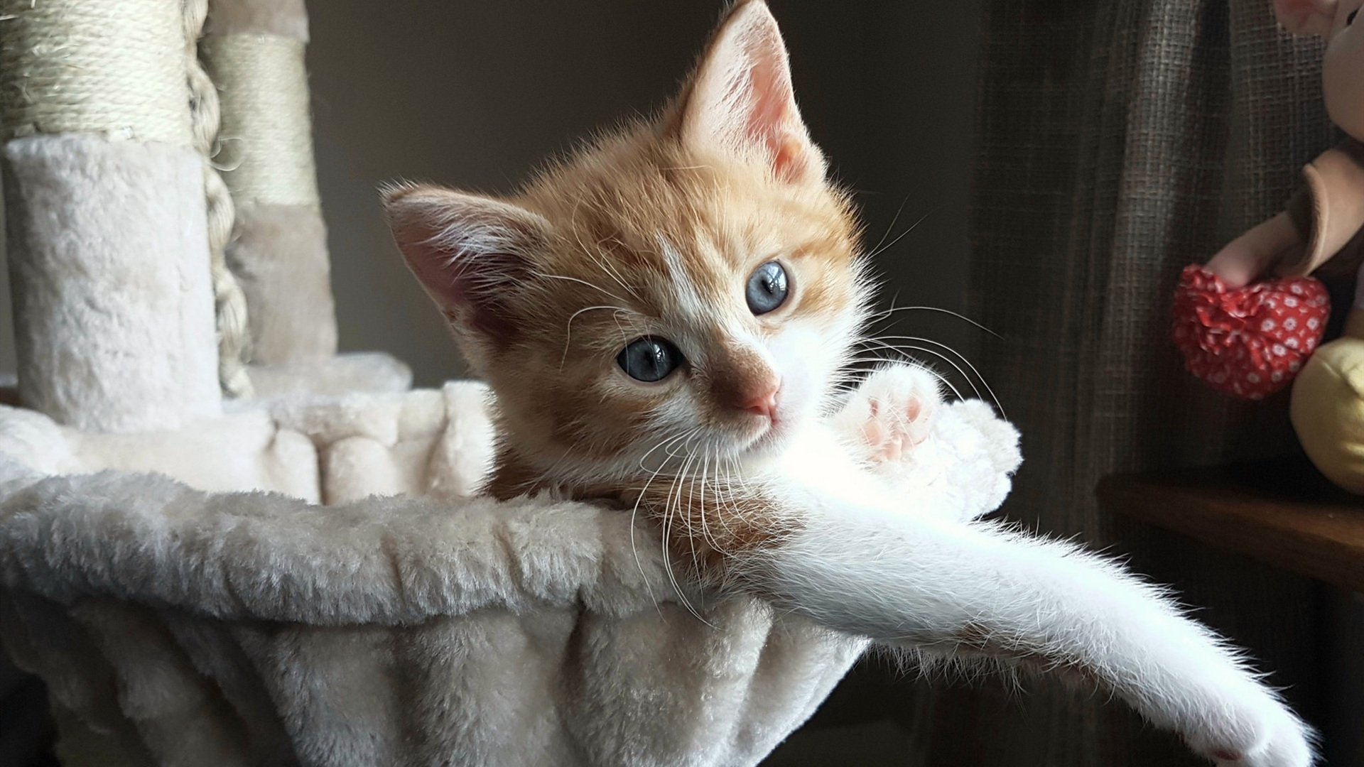 末节风暴，南非力克突尼斯，阿拉巴闪耀成关键先生