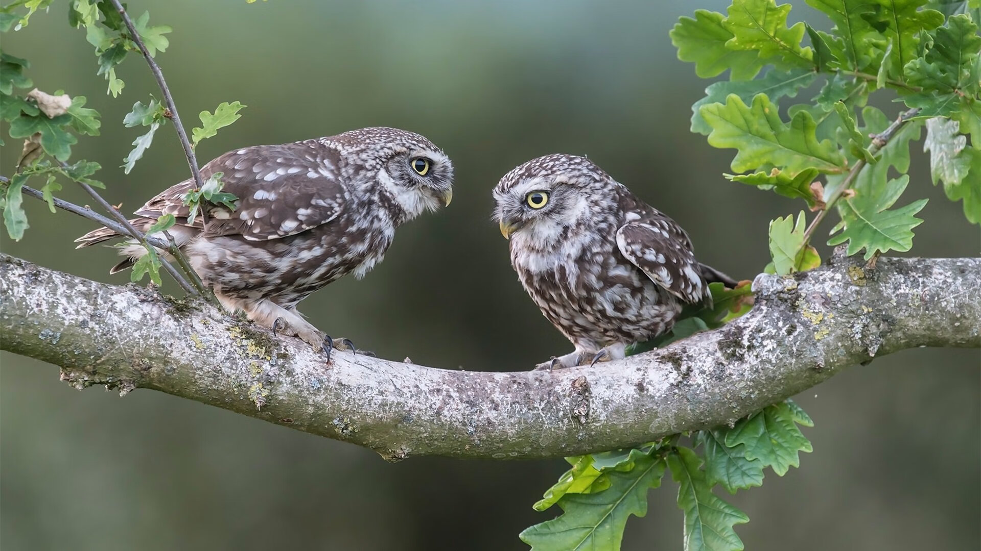 最强老将撕裂雨夜！吉林绝地逢生死战，詹姆斯末节15分封神