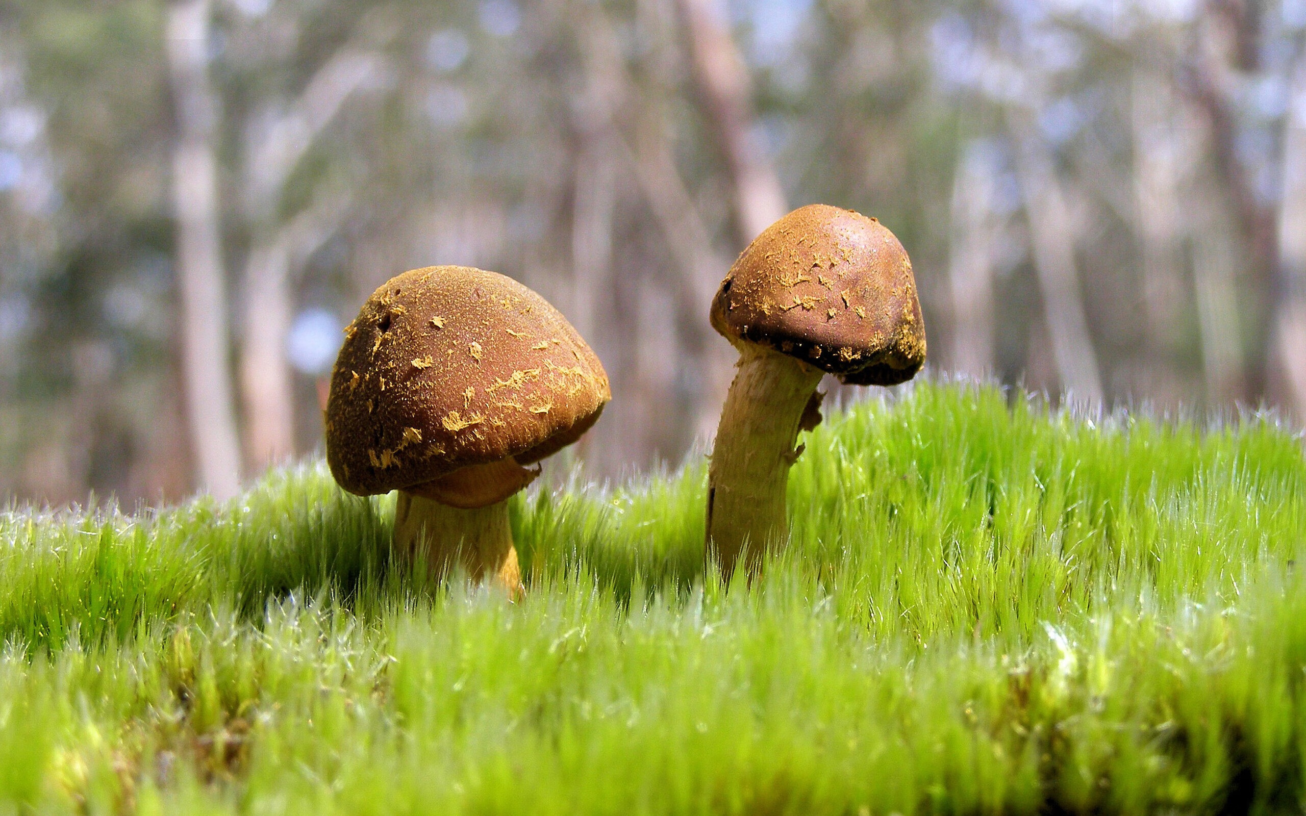 锋芒毕露！阿圭罗双响炮撕开防线，雷恩闪电战击溃马里