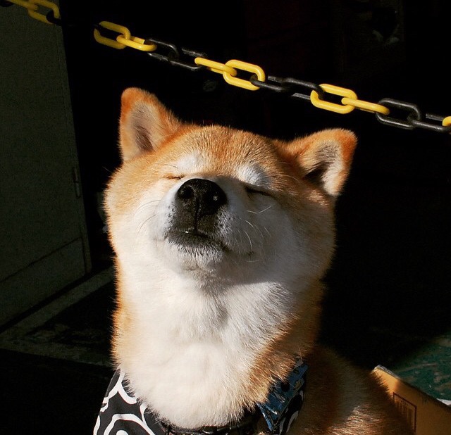 双城记，京多安末节接管与曼联粉碎黄潜—命运交叉的绿茵剧本