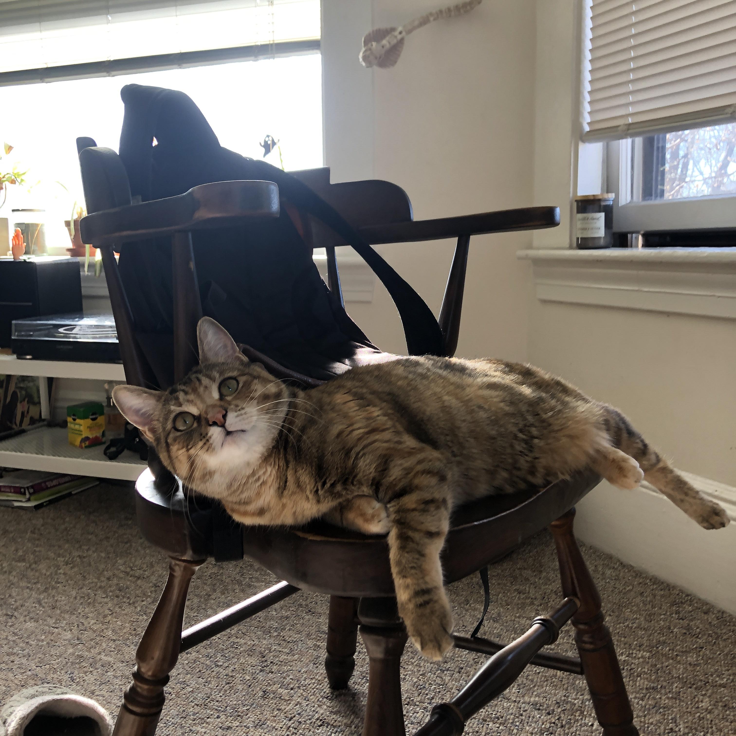 锋刃与脉络，当哈兰德的个体宇宙照亮乌拉圭的团队星图