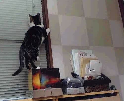 绝地反击,2026世界杯B组焦点战,波兰逆转厄瓜多尔,维尼修斯上演王者归来