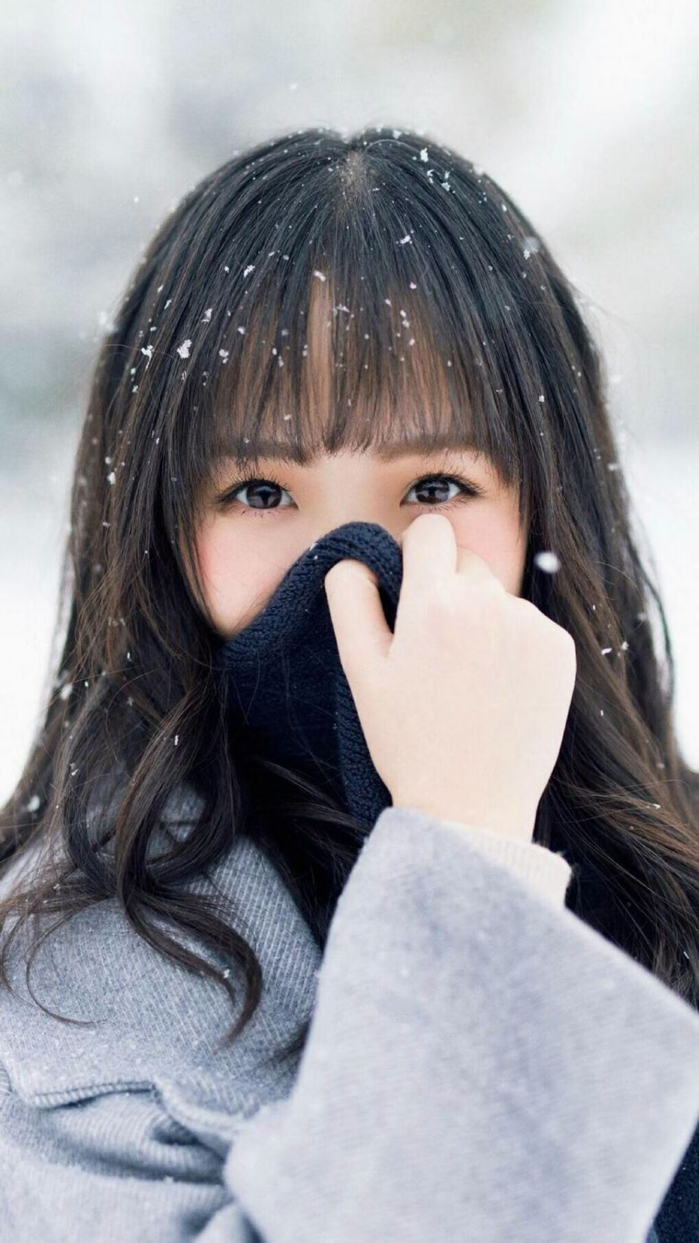 雷克雅未克的极光,撕裂慕尼黑的钢铁战车,巴雷拉之夜,冰岛如何用热血冻结世界冠军